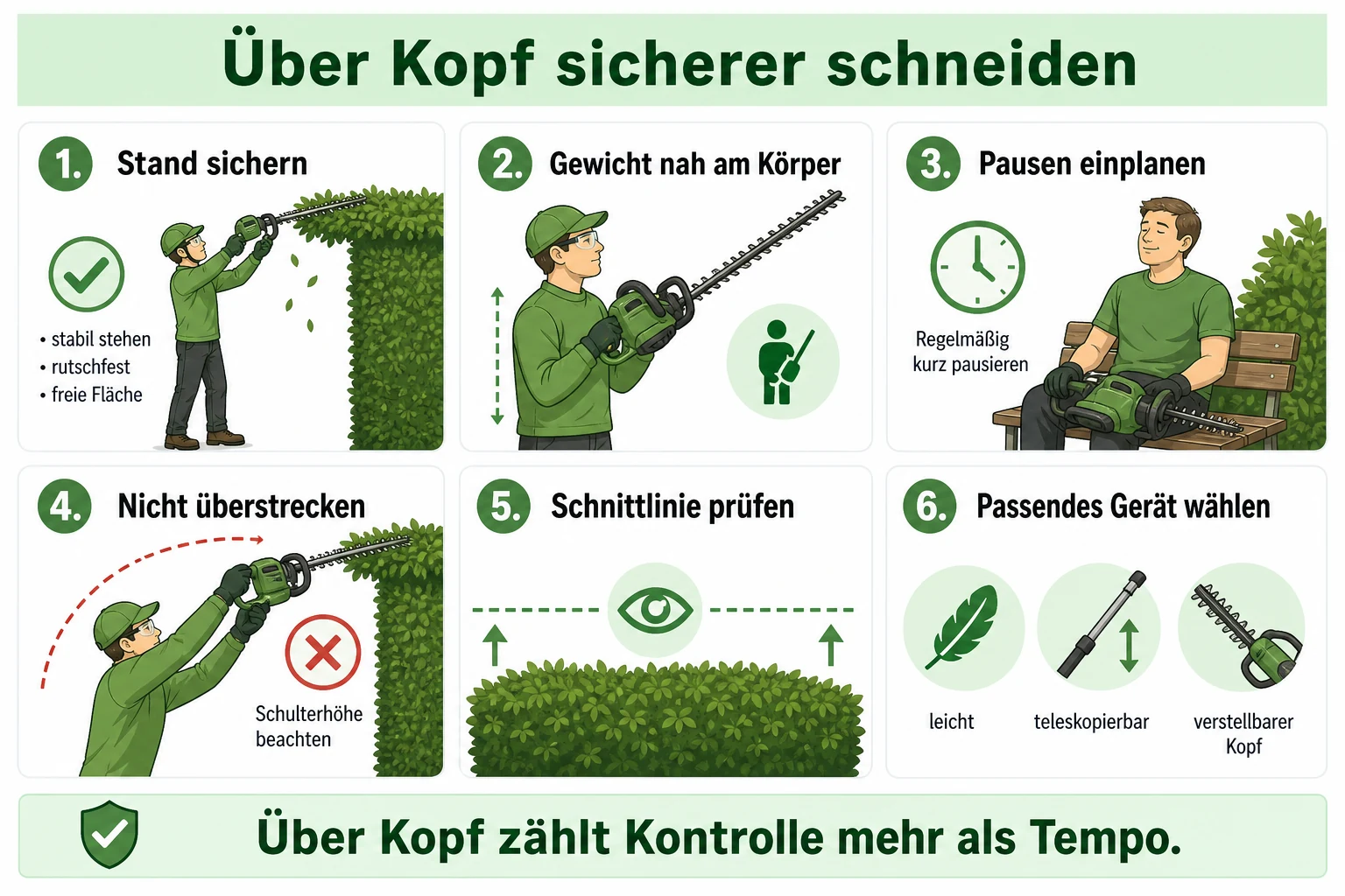 Infografik: Über Kopf sicherer mit der Heckenschere schneiden